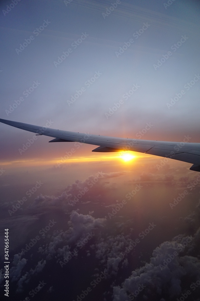 Thai Airlines, Air plane wing, sky, sunset, plane wing, clouds, get plane
