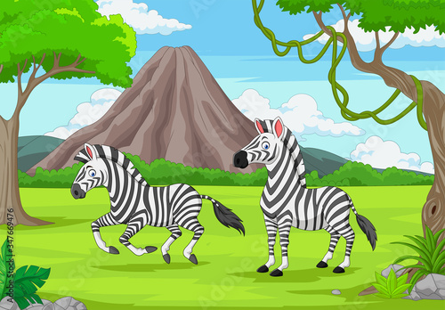 Cartoon two zebras in the jungle