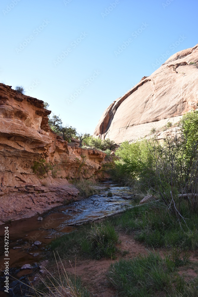 Creek in Moab