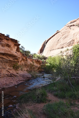Creek in Moab