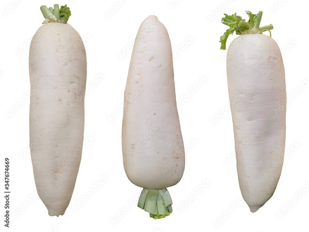 White Chinese turnips on white background. White Chinese turnips on white background.