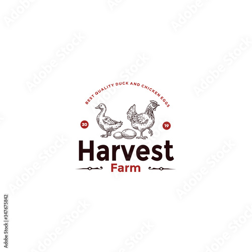 vintage handrawn harvest farm logo premium vector