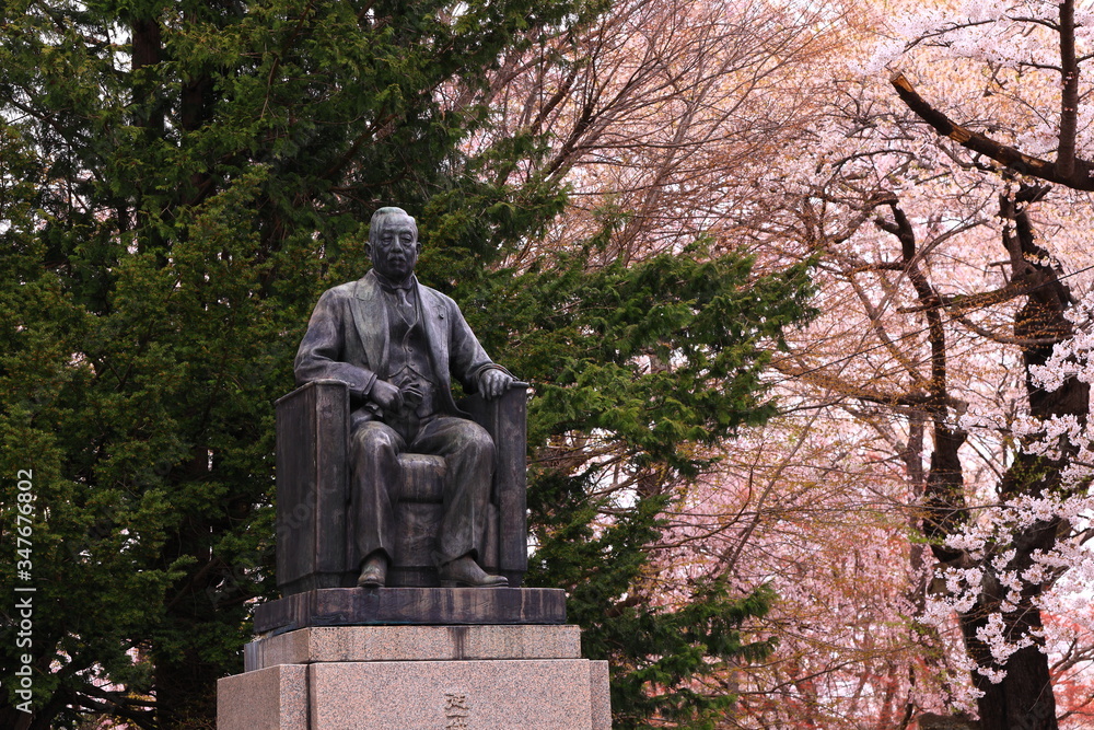 Fototapeta premium 春の水沢公園