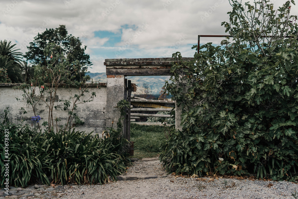 Obraz premium old dor 