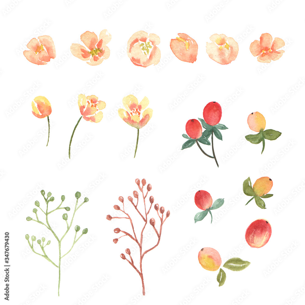 Floral and leaves watercolor elements set hand painted lush flowers. Illustration of rose, peony, little flowers vintage style aquarelle isolated on white background. Design decor for card, 