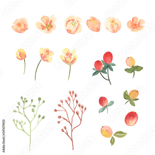 Wallpaper Mural Floral and leaves watercolor elements set hand painted lush flowers. Illustration of rose, peony, little flowers vintage style aquarelle isolated on white background. Design decor for card,  Torontodigital.ca