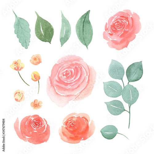 Floral and leaves watercolor elements set hand painted lush flowers. Illustration of rose, peony, little flowers vintage style aquarelle isolated on white background. Design decor for card