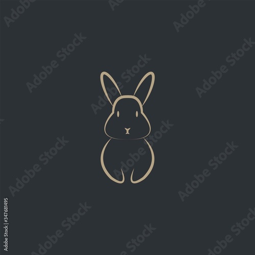 Premium rabbit logo design