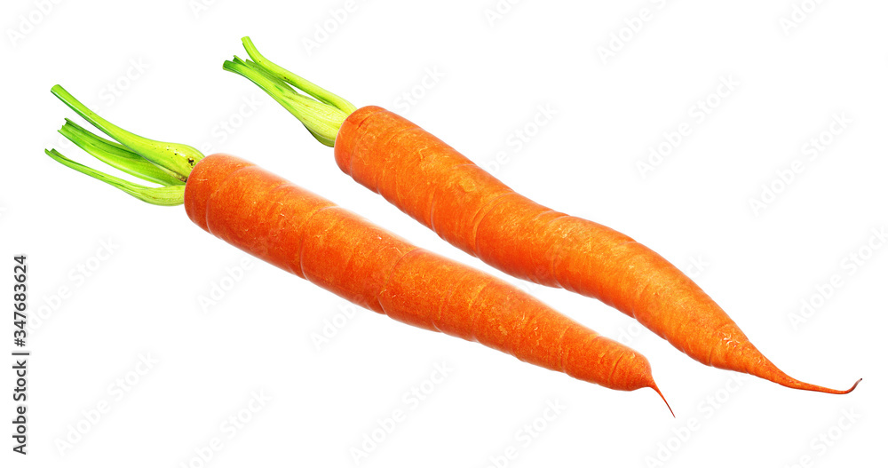 carrots carrots