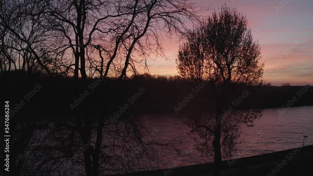 Aerial drone flying through silhouette Trees With Amsterdam Rhine Canal During Golden Yellow Orange Sunset In Background Aerial drone flying through silhouette Trees With Amsterdam Rhine Canal During Golden Yellow Orange Sunset In Background
