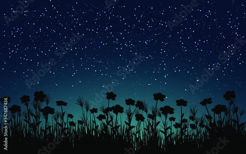 grass in the night