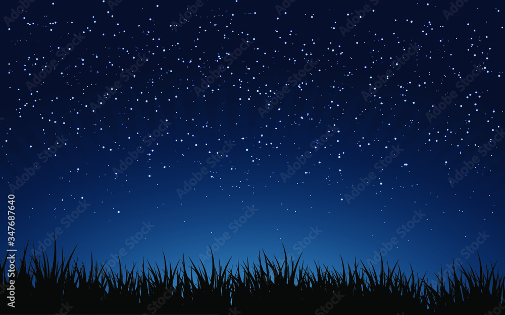 starry night sky - obrazy, fototapety, plakaty 