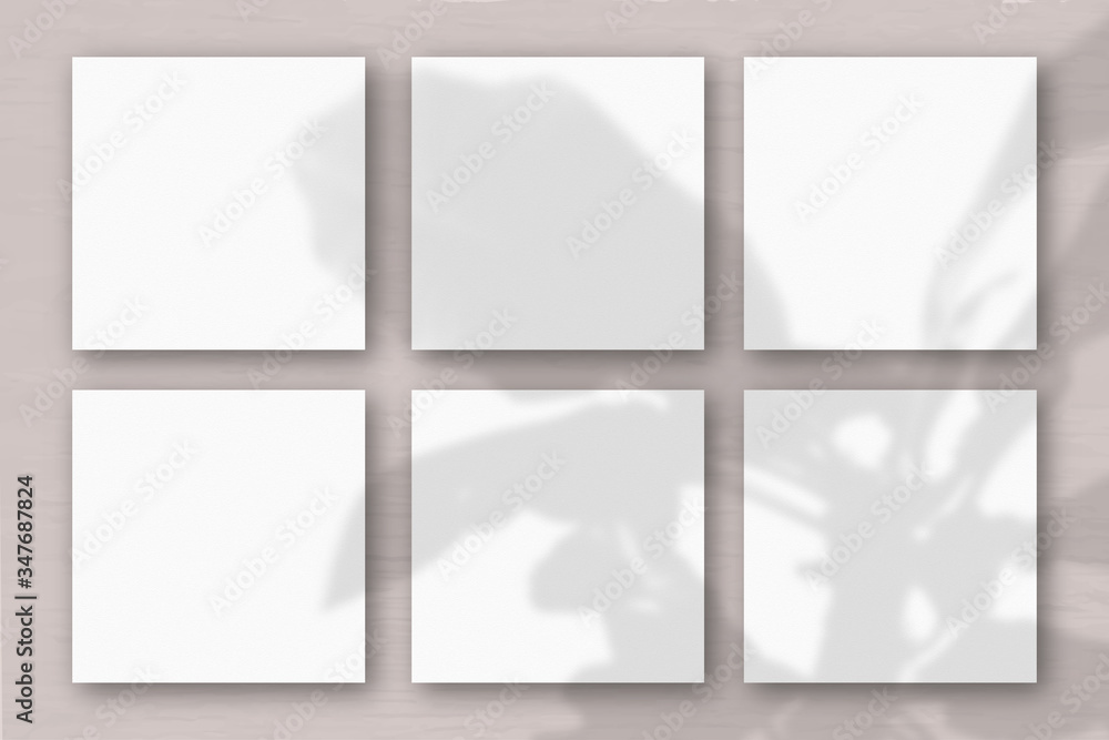 6 square sheets of white textured paper on the pink grey wall background. Mockup overlay with the plant shadows. Natural light casts shadows from an exotic plant. Flat lay, top view
