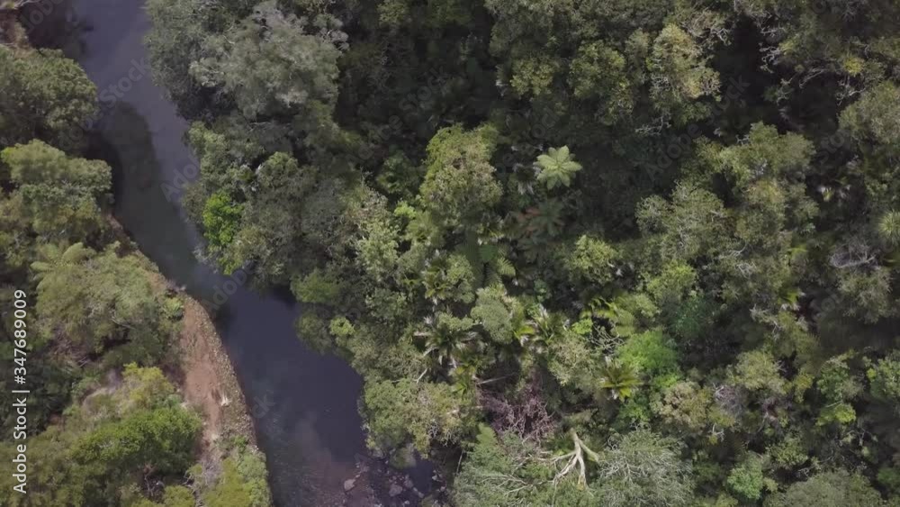 Aerial view of river running through bushland in New Zealand Aerial view of river running through bushland in New Zealand