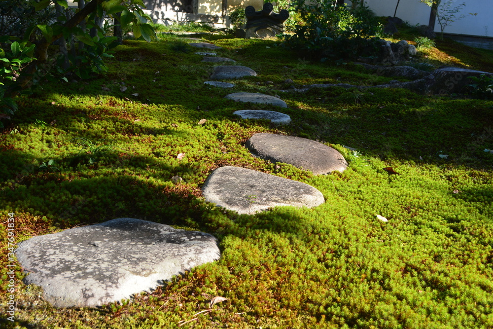 Stepping stones