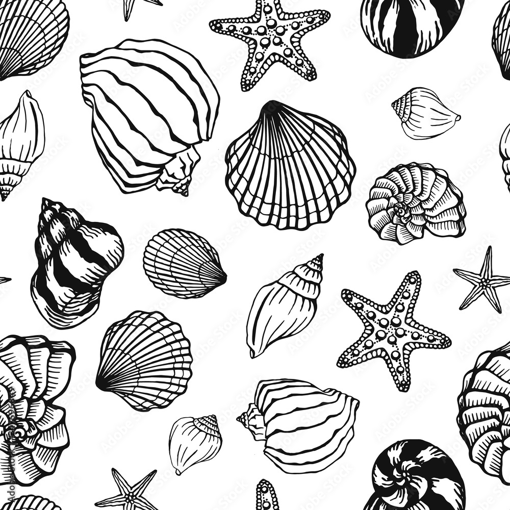 Seamless black-white pattern with seashells, corals and starfishes. Marine background. Hand drawn vector illustration in sketch style. Perfect for greetings, invitations, coloring books, textile, wed Seamless black-white pattern with seashells, corals and starfishes. Marine background. Hand drawn vector illustration in sketch style. Perfect for greetings, invitations, coloring books, textile, wed