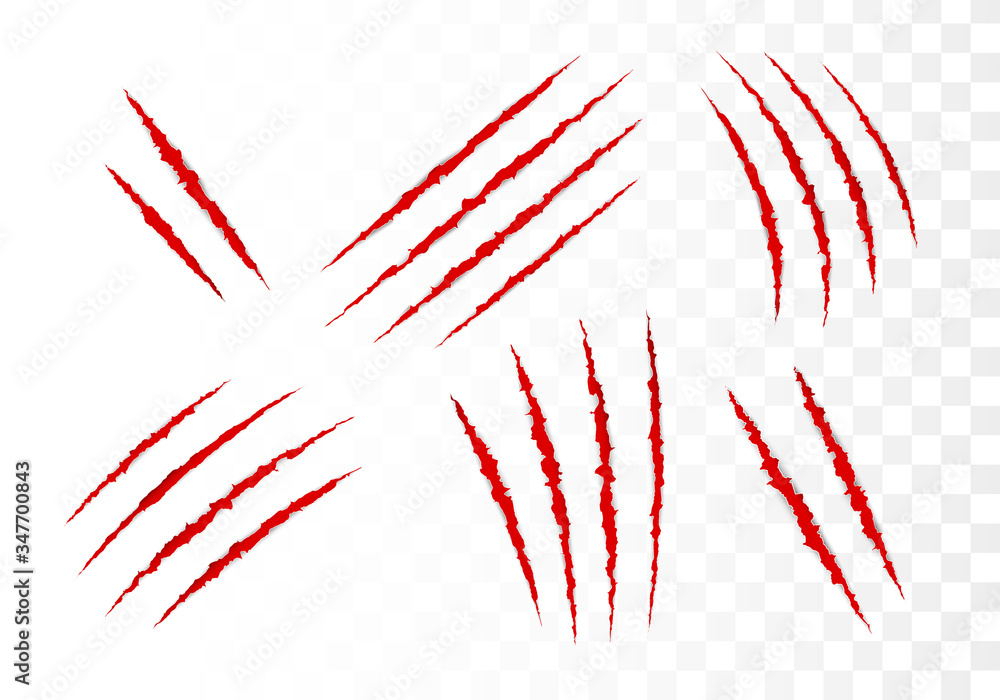 Set of scratches. Animals claw attack. Vector illustration Set of scratches. Animals claw attack. Vector illustration