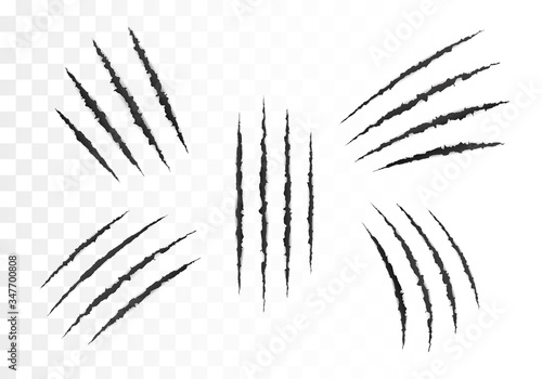 Scary laceration paper surface. Set of wild animal claws scratches. Torn paper edge. vector illustration isolated on transparent background