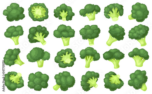 Broccoli crumbs vector cartoon set icon. Vector illustration brocolli cabbage on white background. Isolated cartoon set icon broccoli.