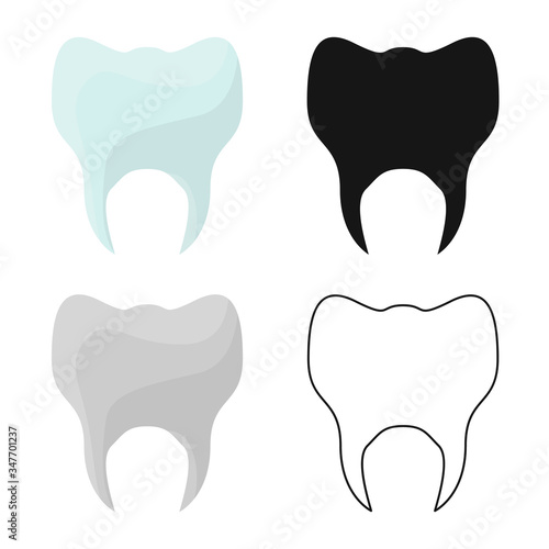 Vector illustration of tooth and healthy symbol. Graphic of tooth and enamel stock vector illustration.