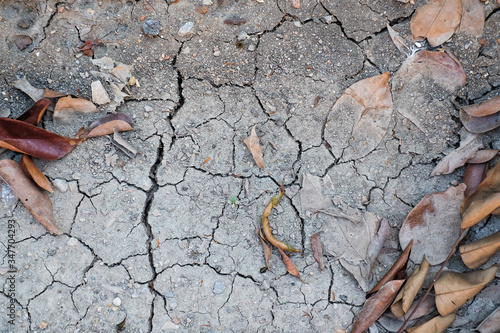dry cracked mud earth surface and dried leaves , Natural background