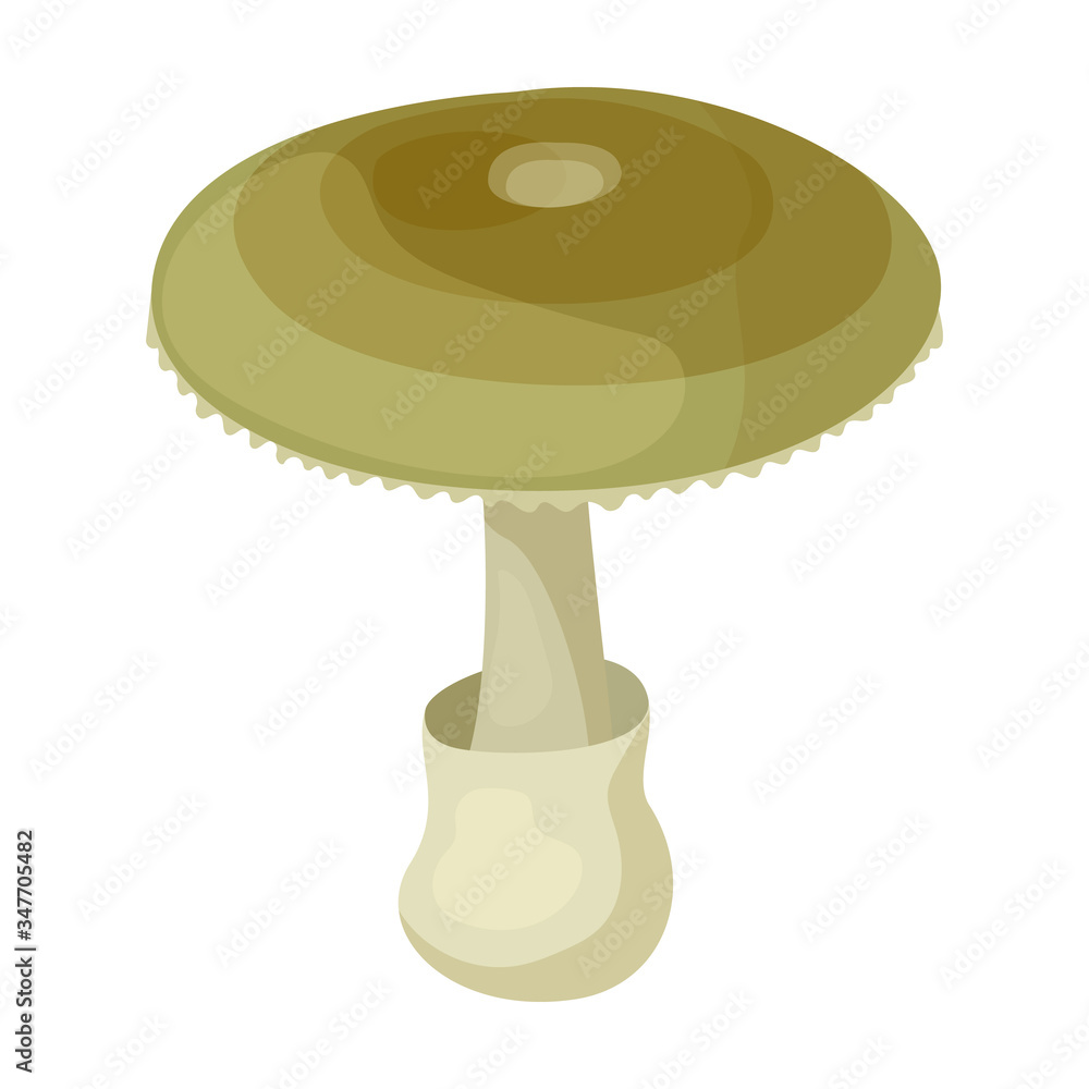 Death cap vector icon.Cartoon vector icon isolated on white background death cap. Death cap vector icon.Cartoon vector icon isolated on white background death cap.