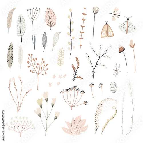 Cute set of hand drawn plants. A collection of dried flowers. Vintage style for your illustrations.