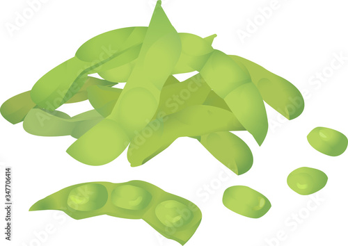 Illustration of green soybeans on a white background.