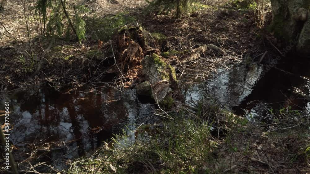 Bog drainage ditch. Broken tree. Sky reflection, Estonia. Flickering water. Bog drainage ditch. Broken tree. Sky reflection, Estonia. Flickering water.