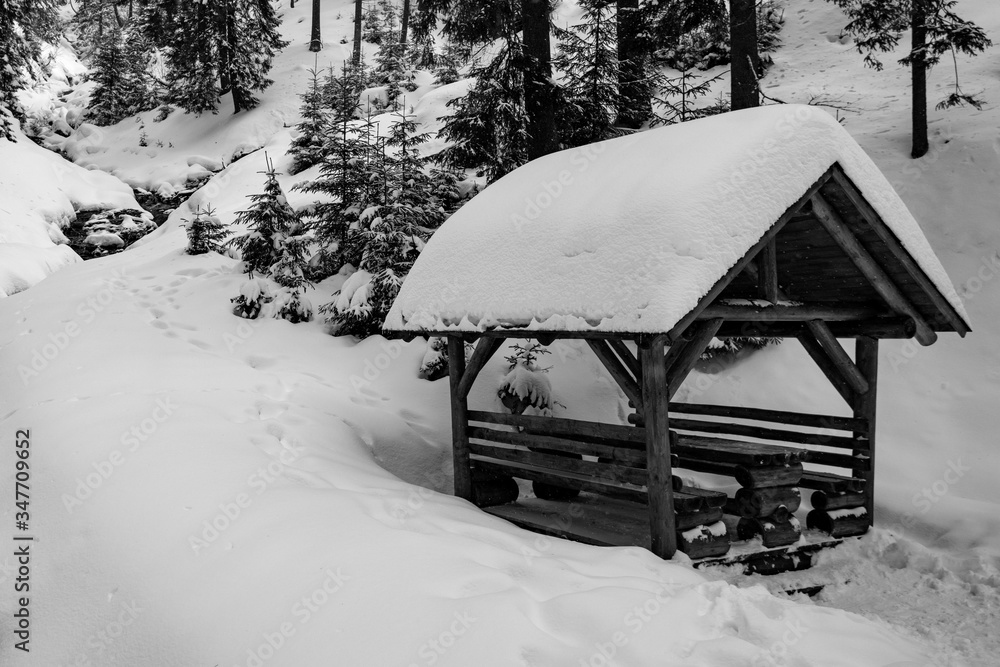 cottage in the fir forest in the snowy mountain