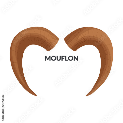 Horn mouflon vector icon.Cartoon vector icon isolated on white background horn mouflon.