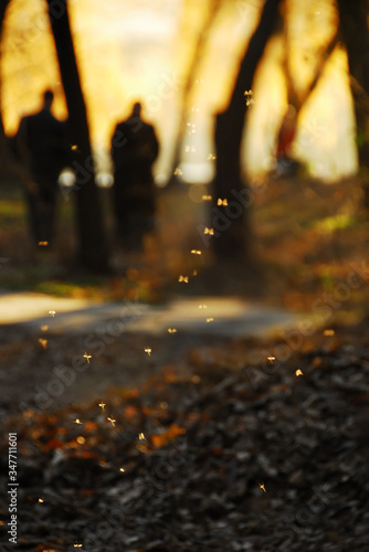 A flock of midges on the background of figures of people