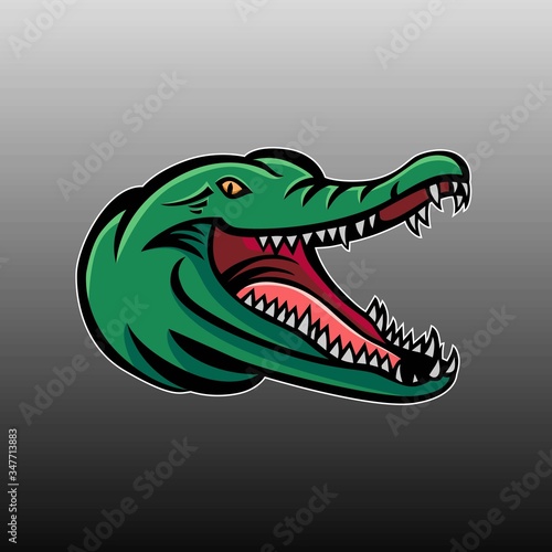 Crocodile head mascot vector design © barnawi