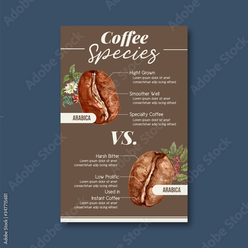 coffee arabica roast beans burn type of coffee, infographic design with text watercolor illustration
