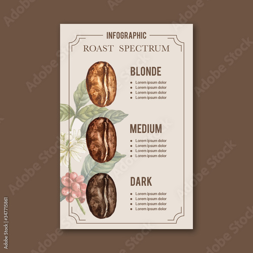 coffee arabica roast beans burn type of coffee , infographic design watercolor illustration