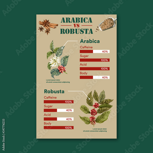 coffee arabica vs robusta roast beans type of coffee, benefit, infographic watercolor illustration