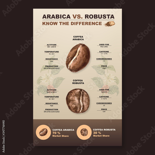 coffee arabica roast beans burn type of coffee, infographic watercolor illustration