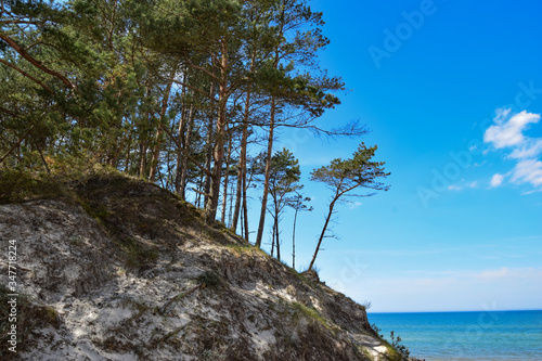 Fototapeta Naklejka Na Ścianę i Meble -  Ruchome wydmy na terenie Słowińskiego Parku Narodowego