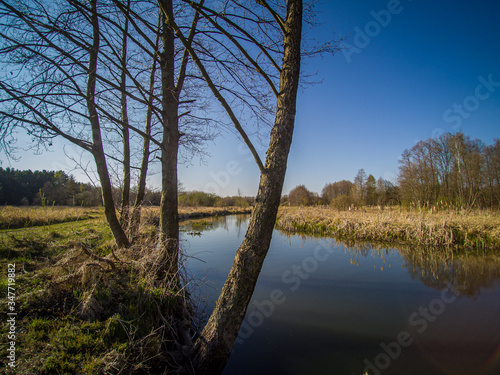 A walk along the wild river Grabia, Poland photo