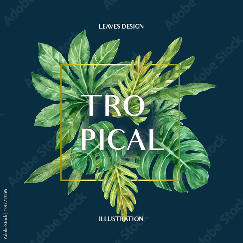 Photography Tropical Frame border design summer with plants foliage exotic, creative waterco