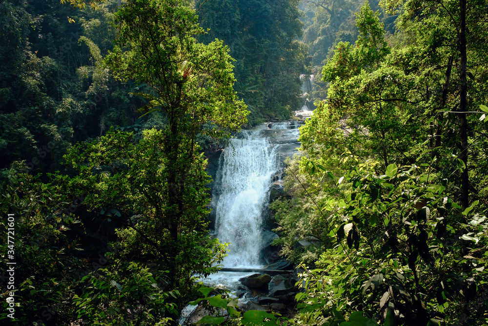 Fototapeta premium stunning view of the waterfall through green forest