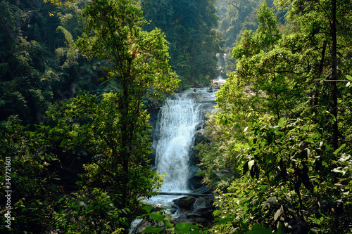stunning view of the waterfall through green forest