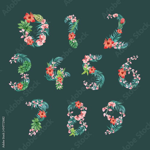 Number Tropical Alphabet typographic design summer with plants foliage, creative watercolor vector illustration design