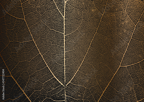 Distress tree leaves, leaflet texture on golden background. Black and white grunge background.