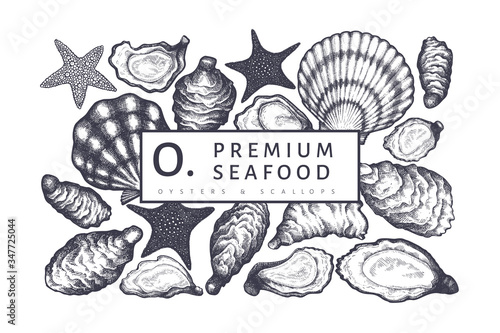 Oysters design template. Hand drawn vector illustration. Seafood banner. Can be used for design menu, packaging, recipes, fish market, seafood products.
