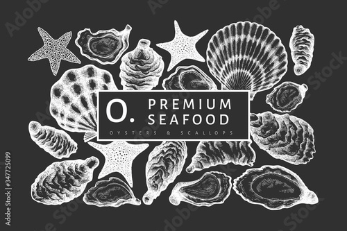 Oysters design template. Hand drawn vector illustration on chalk board. Seafood banner. Can be used for design menu, packaging, recipes, label, fish market, seafood products.