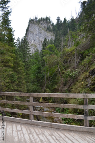 Dolina Kościeliska, widok z drewnianego mostku, Tatry, Polska