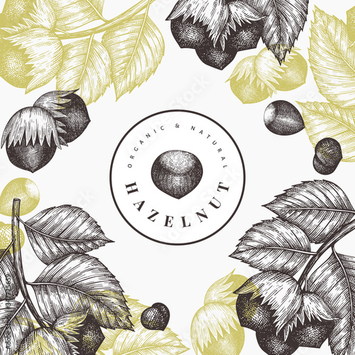 Hand drawn sketch hazelnut design template. Organic food vector illustration on white background. Vintage nut illustration. Engraved style botanical background.