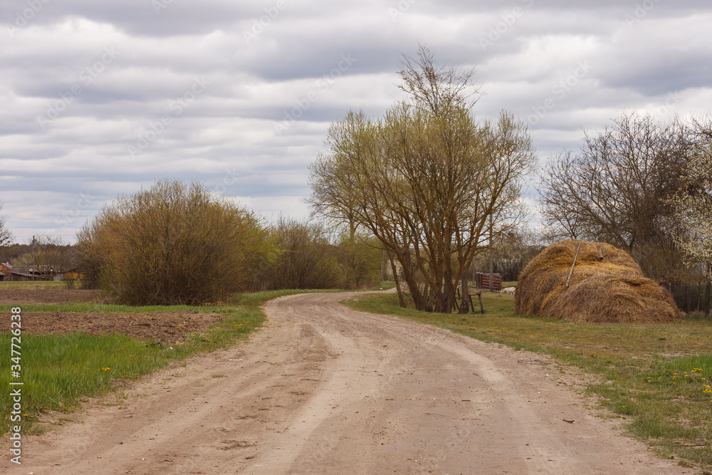 Naklejka premium Dirt road leading to the village. Spring landscape