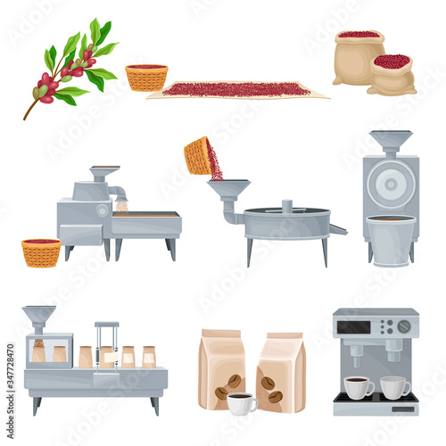 Coffee Production Equipment and Coffea Plant Branch and Fruit Harvesting Vector Set